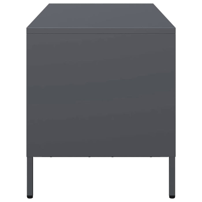 Dulap TV, antracit, 101,5x39x43,5 cm, oțel laminat la rece - WALTI WALTI