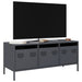 Dulap TV, antracit, 101,5x39x43,5 cm, oțel laminat la rece - WALTI WALTI
