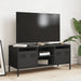 Dulap TV, negru, 101,5x39x43,5 cm, oțel laminat la rece - WALTI WALTI