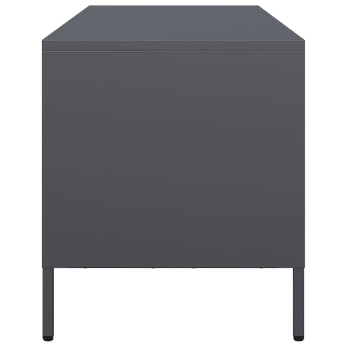 Dulap TV, antracit, 101,5x39x43,5 cm, oțel laminat la rece - WALTI WALTI