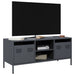 Dulap TV, antracit, 101,5x39x43,5 cm, oțel laminat la rece - WALTI WALTI