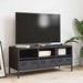 Dulap TV, antracit, 101,5x39x43,5 cm, oțel laminat la rece - WALTI WALTI