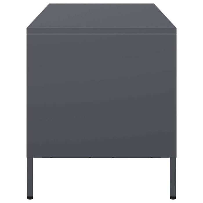 Dulap TV, antracit, 101,5x39x43,5 cm, oțel laminat la rece - WALTI WALTI