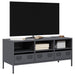 Dulap TV, antracit, 101,5x39x43,5 cm, oțel laminat la rece - WALTI WALTI
