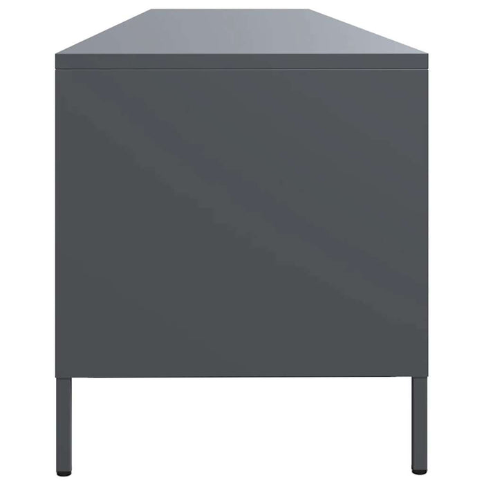 Dulap TV, antracit, 202x39x43,5 cm, oțel laminat la rece - WALTI WALTI