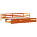 Pat zi cu extensie/sertare maro ceruit 90x200 cm lemn masiv pin - WALTI WALTI