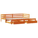 Pat zi cu extensie/sertare maro ceruit 80x200 cm lemn masiv pin - WALTI WALTI