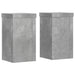 Suport de plante, 2 buc., gri beton, 10x10x18 cm lemn prelucrat - WALTI WALTI