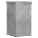 Suport de plante, 2 buc., gri beton, 10x10x18 cm lemn prelucrat - WALTI WALTI