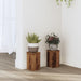 Suporturi de plante 2 buc lemn vechi 10x10x18 cm lemn prelucrat - WALTI WALTI