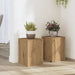 Suporturi de plante, 2 buc., stejar artizanal, 25x25x35cm, lemn - WALTI WALTI