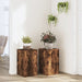 Suporturi de plante 2 buc. stejar fumuriu 30x30x50 cm lemn - WALTI WALTI
