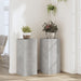 Suport de plante, 2 buc., gri beton, 30x30x70 cm lemn prelucrat - WALTI WALTI
