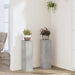 Suport de plante, 2 buc., gri beton, 17x17x60 cm lemn prelucrat - WALTI WALTI