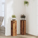 Suporturi de plante 2 buc. lemn vechi 17x17x60cm lemn prelucrat - WALTI WALTI