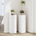 Suporturi de plante, 2 buc., alb, 25x25x80 cm, lemn prelucrat - WALTI WALTI