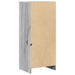 Dulap cu LED, gri sonoma, 42,5x34x100 cm, lemn prelucrat - WALTI WALTI