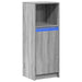 Dulap cu LED, gri sonoma, 38x34x100 cm, lemn prelucrat - WALTI WALTI