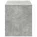 Dulap TV cu LED, gri beton, 97x34x40 cm, lemn prelucrat - WALTI WALTI