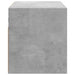 Comodă TV de perete cu lumini LED, gri beton, 80x31x35 cm - WALTI WALTI