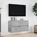Comode TV de perete cu lumini LED 2 buc. gri beton 41x31x45 cm - WALTI WALTI