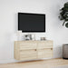 Comodă TV de perete cu lumini LED, stejar sonoma, 100x31x45 cm - WALTI WALTI