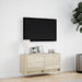 Comodă TV de perete cu lumini LED, stejar sonoma, 80x31x38 cm - WALTI WALTI