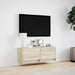Comodă TV de perete cu lumini LED, stejar sonoma, 100x31x38 cm - WALTI WALTI