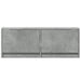 Comodă TV de perete cu lumini LED, gri beton, 100x31x38 cm - WALTI WALTI