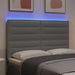 Tăblie LED cu lumini cu bandă LED Gri deschis 160 cm Poliester - WALTI WALTI