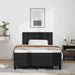 Cadru de Pat cu Saltea Negru 120 x 190 cm Piele artificială - WALTI WALTI