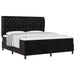 Pat cu arcuri cu saltea cu headboard Negru 200 x 180 cm Catifea - WALTI WALTI