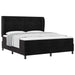 Pat cu arcuri cu saltea Negru 200 x 180 cm Poliester - WALTI WALTI