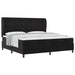 Pat cu arcuri cu saltea Negru 200 x 200 cm Poliester - WALTI WALTI