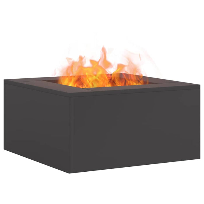 Cuptor de foc Negru 60 x 60 x 30 cm Oțel - WALTI WALTI