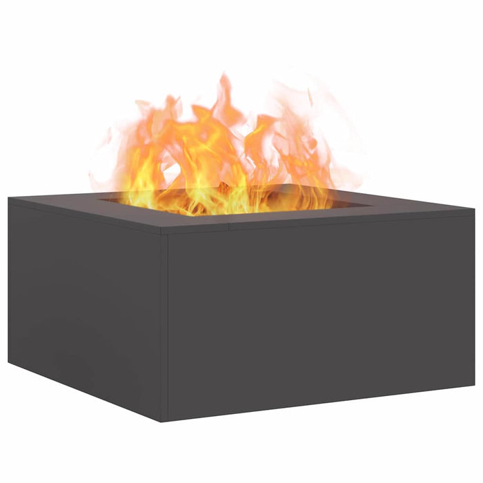 Cuptor de foc Negru 80 x 80 x 40 cm Oțel - WALTI WALTI