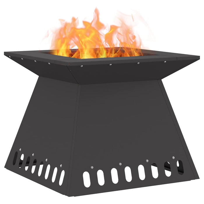 Cuptor de foc Negru 48 x 48 x 40 cm Oțel - WALTI WALTI