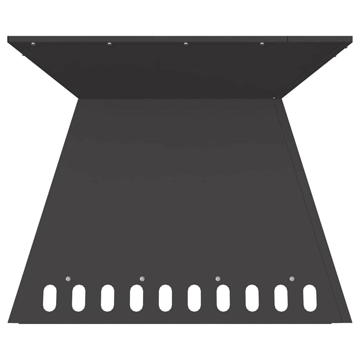Cuptor de foc Negru 60 x 60 x 50 cm Oțel - WALTI WALTI