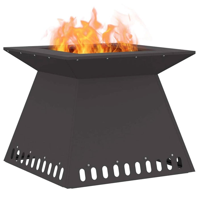 Cuptor de foc Negru 60 x 60 x 50 cm Oțel - WALTI WALTI