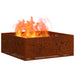 Cuptor de foc Maro 80 x 80 x 30 cm Oțel rezistent de intemperii - WALTI WALTI