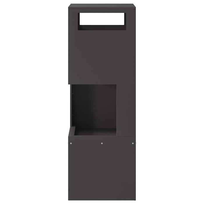 Cuptor de foc Negru 35 x 35 x 100 cm Oțel - WALTI WALTI