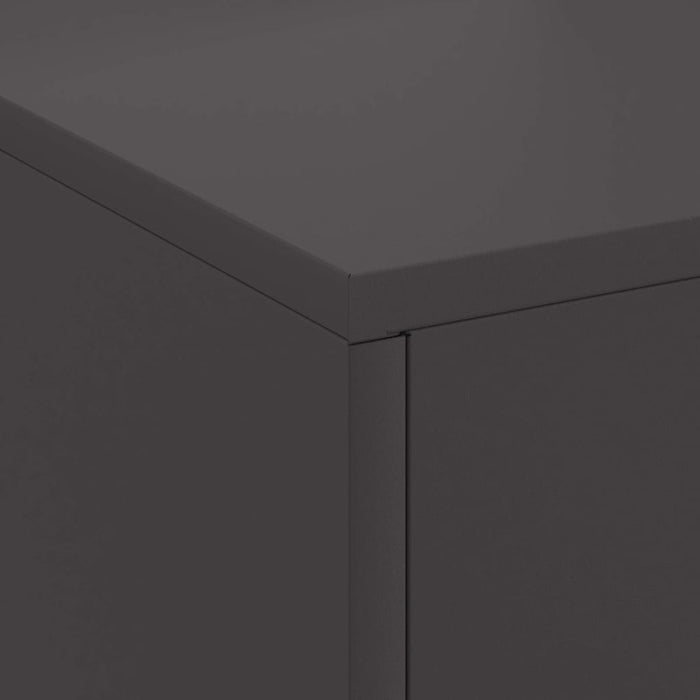 Cuptor de foc Negru 80 x 50 x 96 cm Oțel laminat la rece - WALTI WALTI