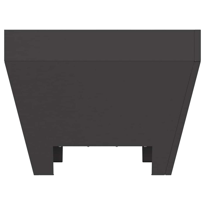 Cuptor de foc Negru 50 x 50 x 38 cm Oțel - WALTI WALTI
