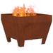 Cuptor de foc Maro 50 x 50 x 38 cm Oțel rezistent de intemperii - WALTI WALTI