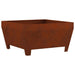 Cuptor de foc Maro 80 x 80 x 43 cm Oțel rezistent de intemperii - WALTI WALTI