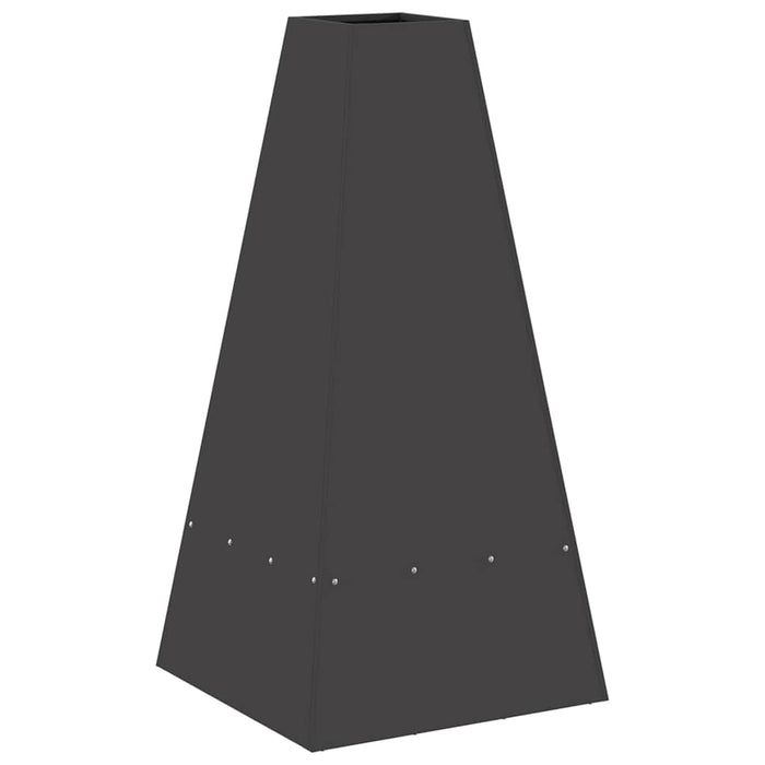 Cuptor de foc Negru 50 x 50 x 100 cm Oțel - WALTI WALTI