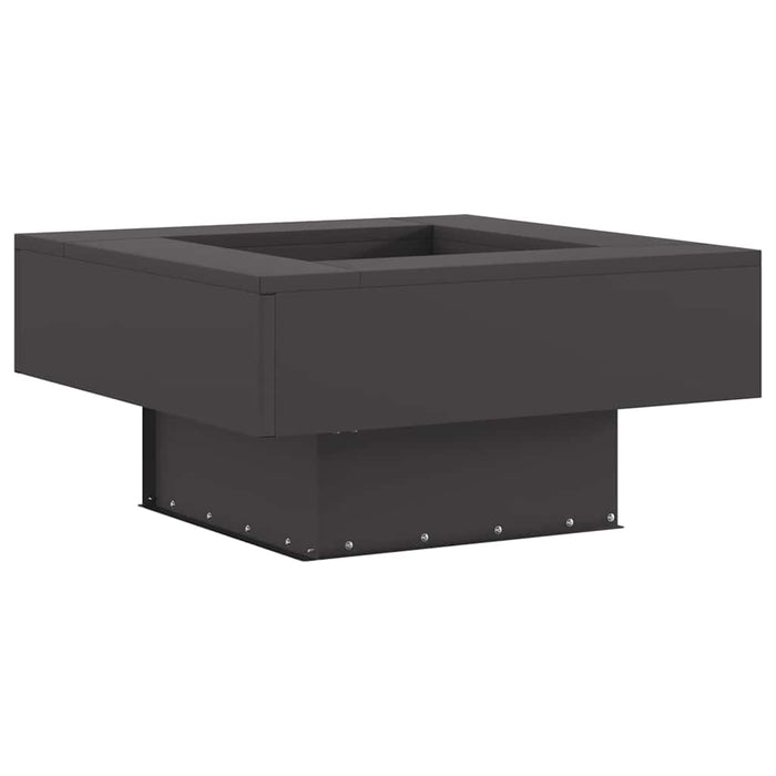 Cuptor de foc Negru 60 x 60 x 30 cm Oțel - WALTI WALTI