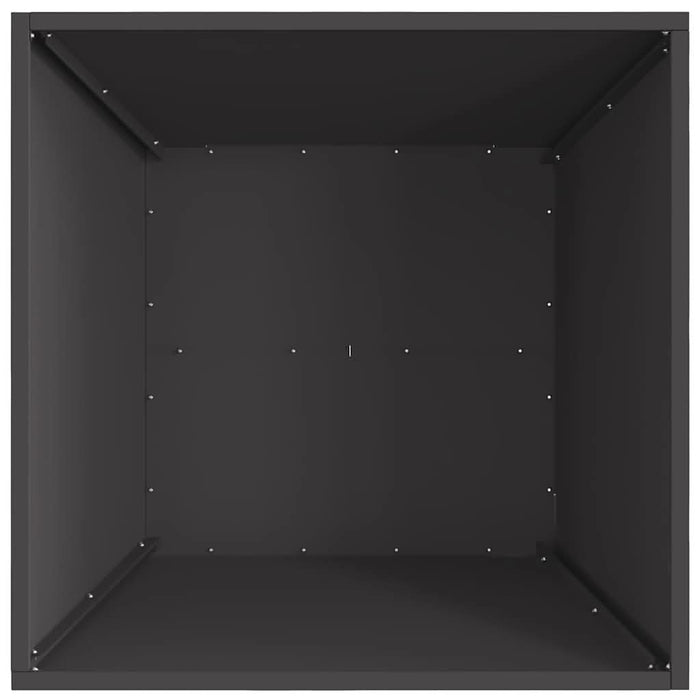 Cuptor de foc Negru 60 x 60 x 30 cm Oțel - WALTI WALTI