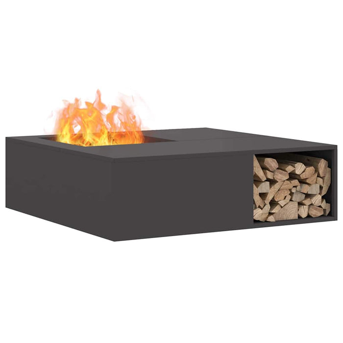 Cuptor de foc Negru 100 x 100 x 30 cm Oțel - WALTI WALTI