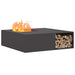 Cuptor de foc Negru 100 x 100 x 30 cm Oțel - WALTI WALTI